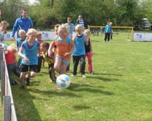Sportveld